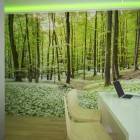 Spa w stylu eco w Katowicach