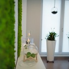 Spa w stylu eco w Katowicach
